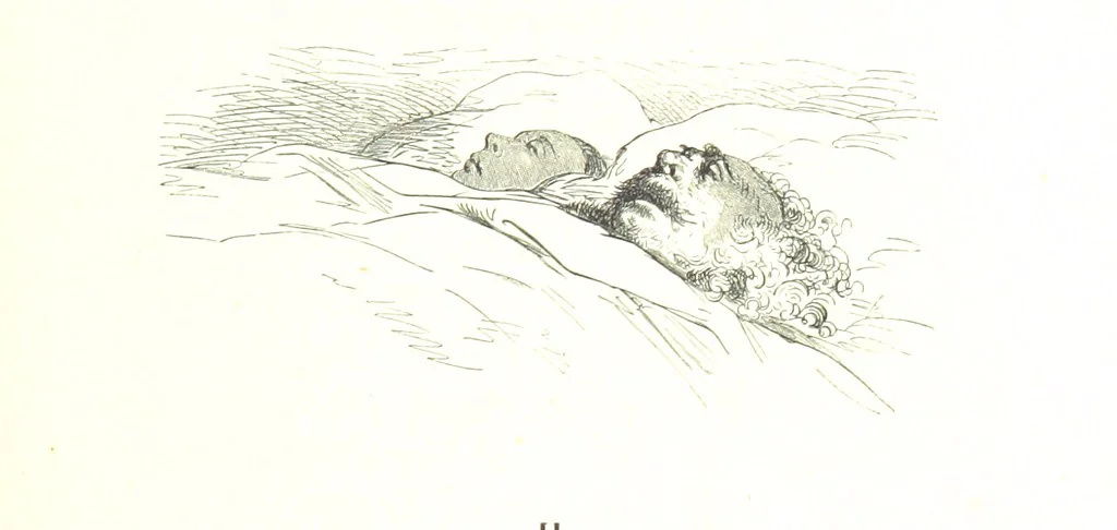 An illustration from Voyage aux Pyrénées ... Troisième édition illustrée par Gustave Doré, 1860, leaf 249