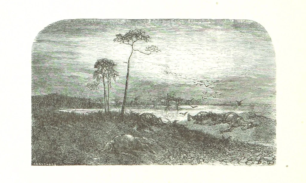 An illustration from Voyage aux Pyrénées ... Troisième édition illustrée par Gustave Doré, 1860, leaf 26
