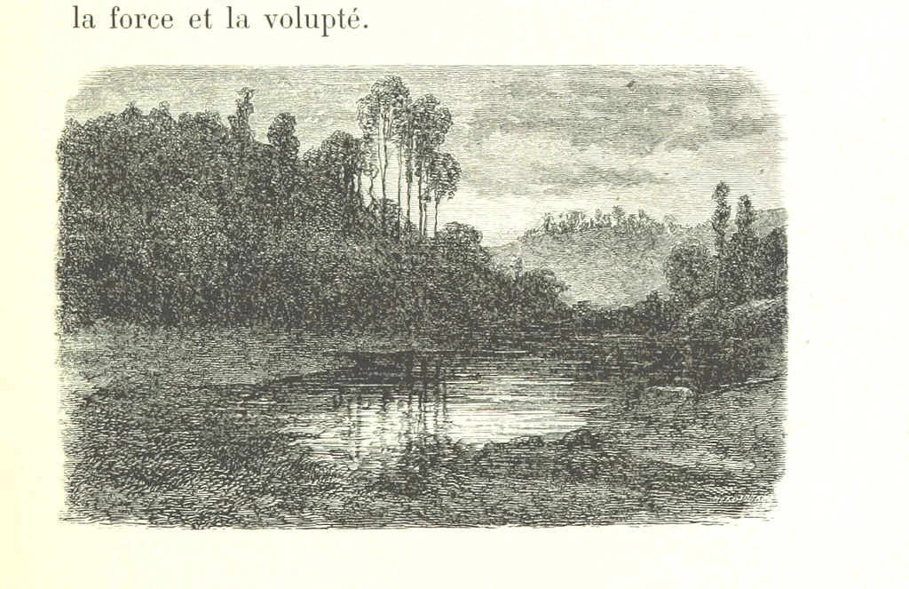 An illustration from Voyage aux Pyrénées ... Troisième édition illustrée par Gustave Doré, 1860, leaf 295