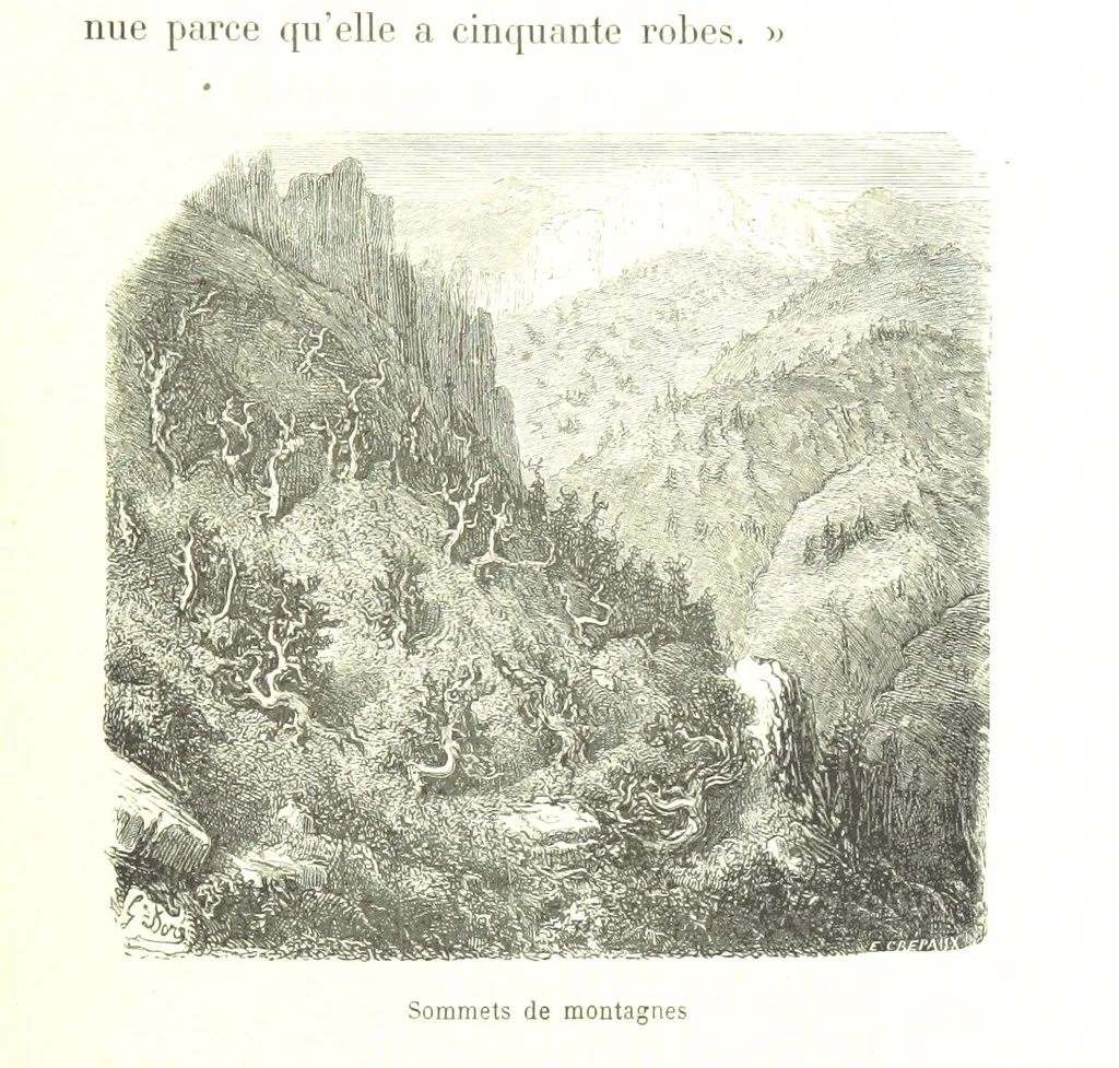 An illustration from Voyage aux Pyrénées ... Troisième édition illustrée par Gustave Doré, 1860, leaf 309