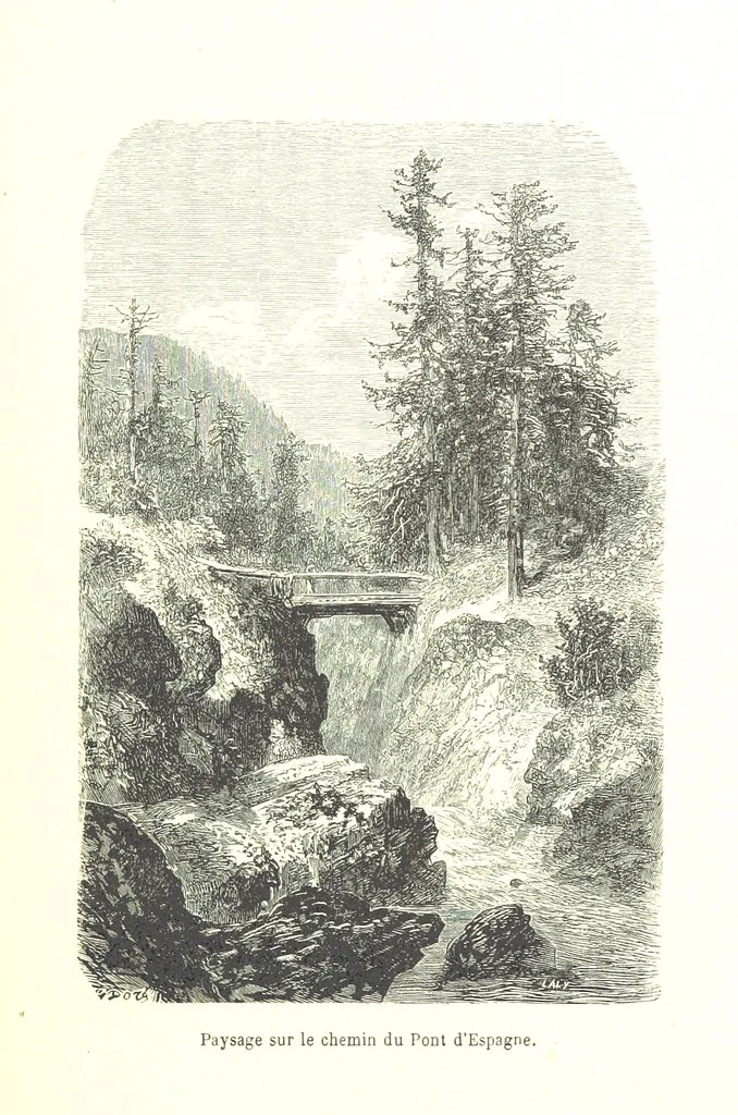 An illustration from Voyage aux Pyrénées ... Troisième édition illustrée par Gustave Doré, 1860, leaf 317