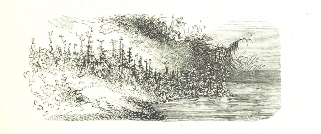 An illustration from Voyage aux Pyrénées ... Troisième édition illustrée par Gustave Doré, 1860, leaf 387