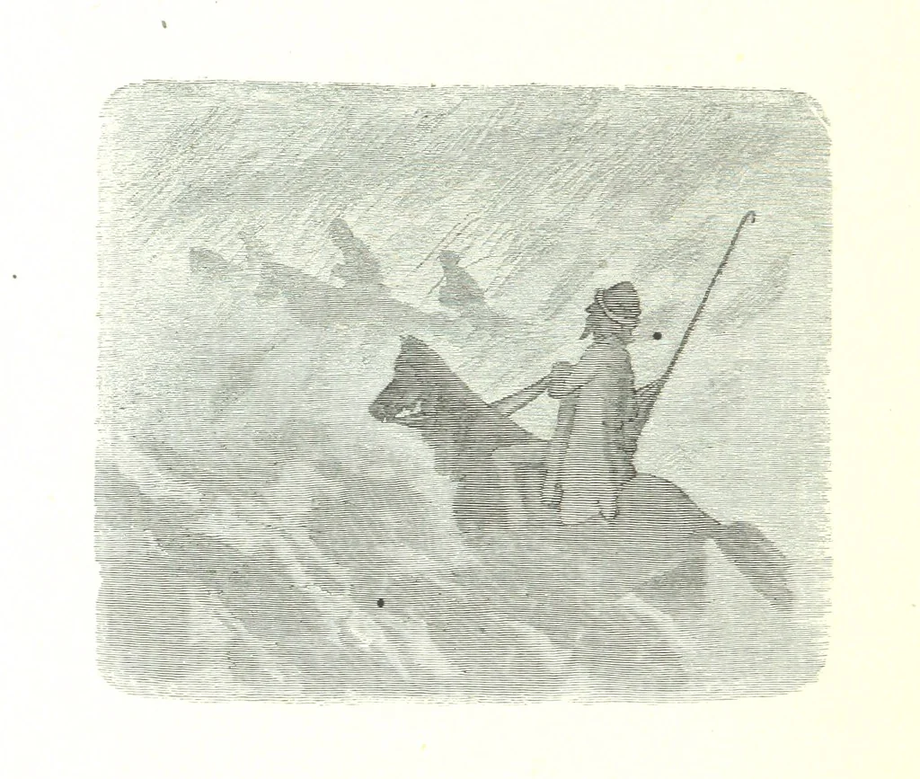 An illustration from Voyage aux Pyrénées ... Troisième édition illustrée par Gustave Doré, 1860, leaf 388