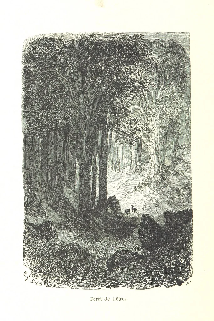 An illustration from Voyage aux Pyrénées ... Troisième édition illustrée par Gustave Doré, 1860, leaf 394