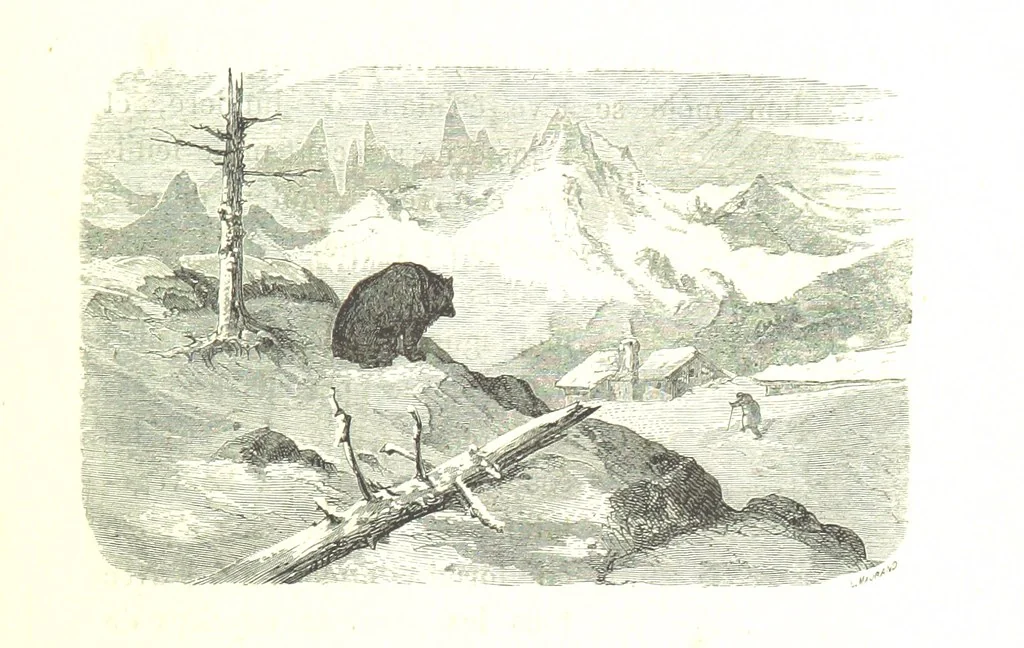 An illustration from Voyage aux Pyrénées ... Troisième édition illustrée par Gustave Doré, 1860, leaf 395