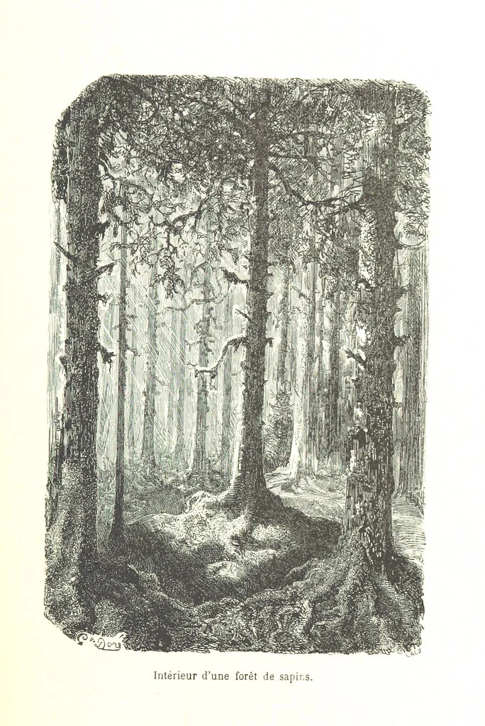 An illustration from Voyage aux Pyrénées ... Troisième édition illustrée par Gustave Doré, 1860, leaf 397