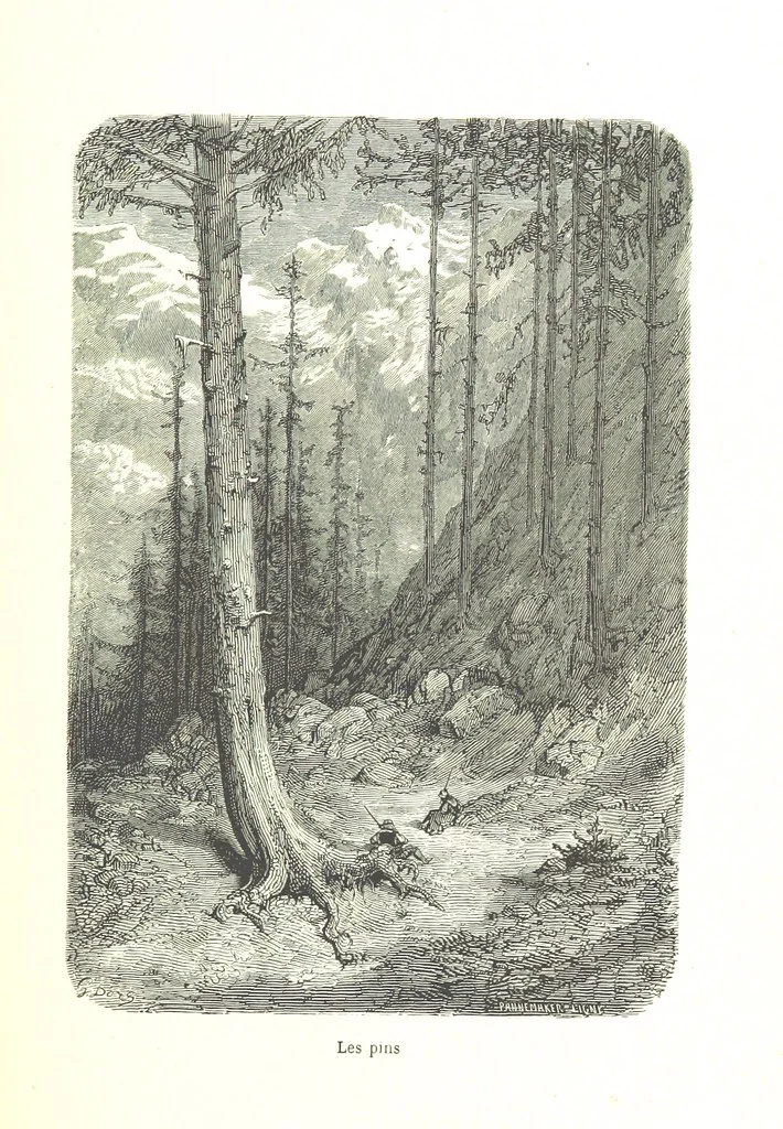 An illustration from Voyage aux Pyrénées ... Troisième édition illustrée par Gustave Doré, 1860, leaf 401