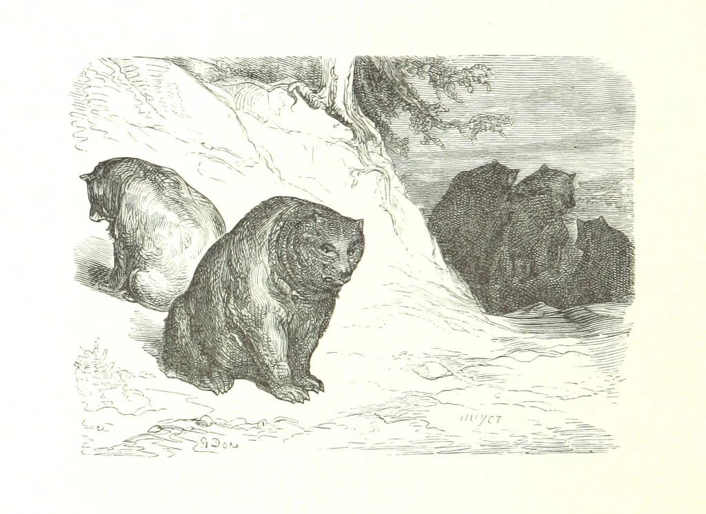 An illustration from Voyage aux Pyrénées ... Troisième édition illustrée par Gustave Doré, 1860, leaf 404