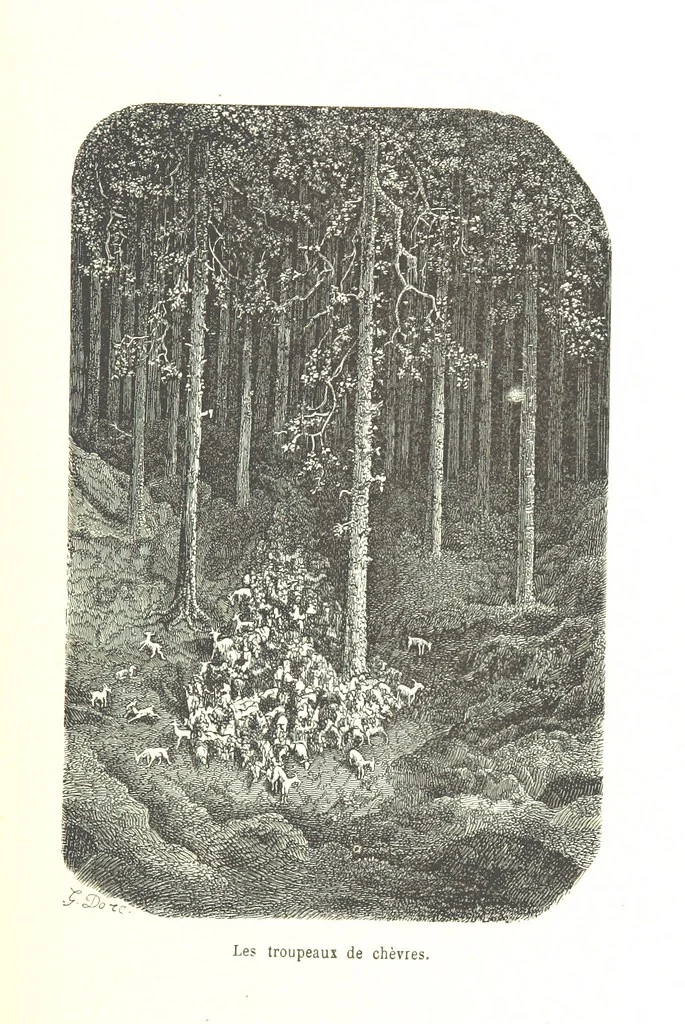 An illustration from Voyage aux Pyrénées ... Troisième édition illustrée par Gustave Doré, 1860, leaf 409