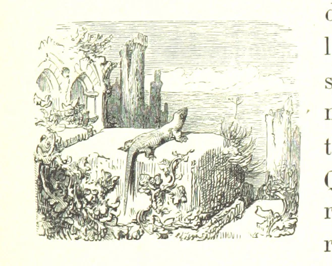 An illustration from Voyage aux Pyrénées ... Troisième édition illustrée par Gustave Doré, 1860, leaf 417