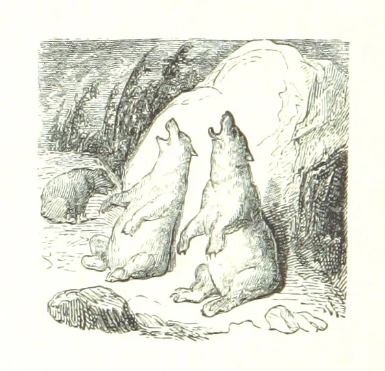 An illustration from Voyage aux Pyrénées ... Troisième édition illustrée par Gustave Doré, 1860, leaf 418