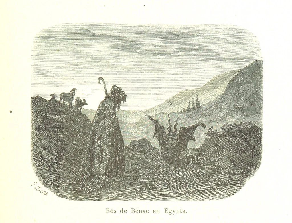 An illustration from Voyage aux Pyrénées ... Troisième édition illustrée par Gustave Doré, 1860, leaf 421