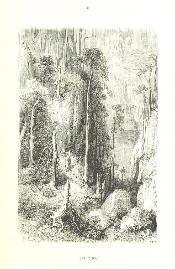An illustration from Voyage aux Pyrénées ... Troisième édition illustrée par Gustave Doré, 1860, leaf 465