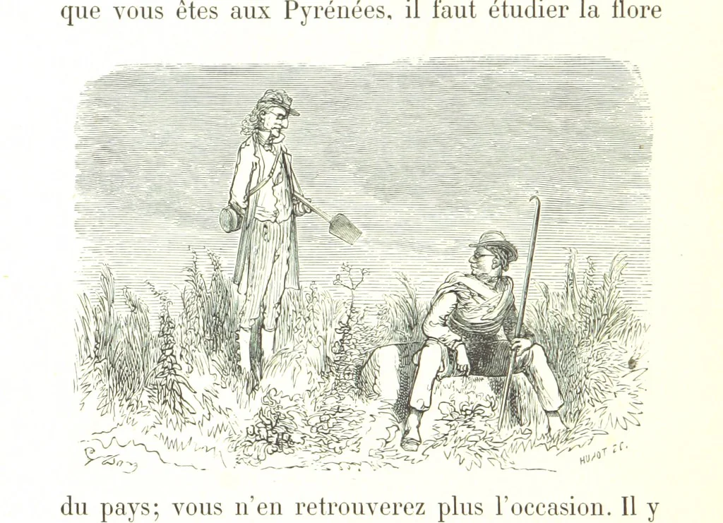 An illustration from Voyage aux Pyrénées ... Troisième édition illustrée par Gustave Doré, 1860, leaf 474