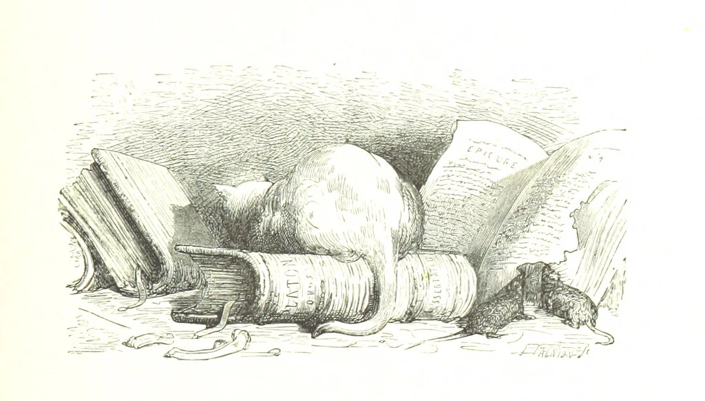 An illustration from Voyage aux Pyrénées ... Troisième édition illustrée par Gustave Doré, 1860, leaf 489