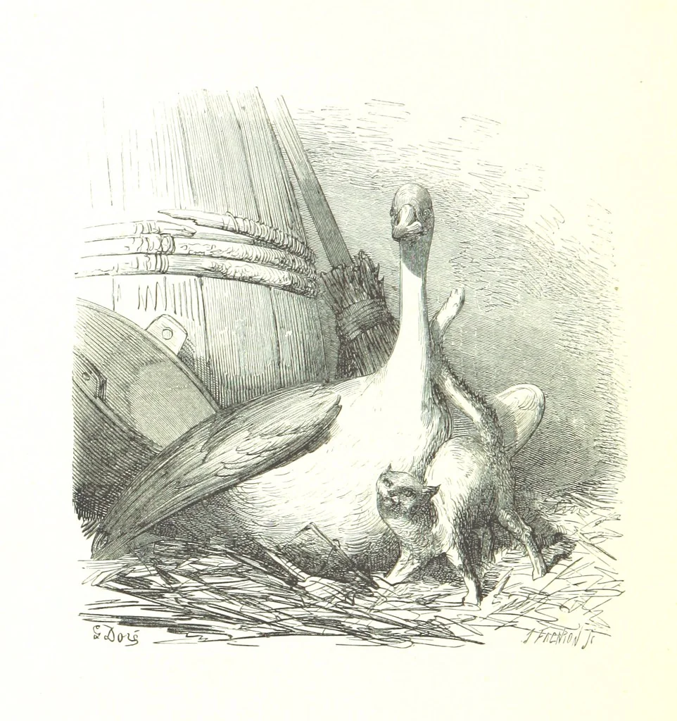 An illustration from Voyage aux Pyrénées ... Troisième édition illustrée par Gustave Doré, 1860, leaf 492