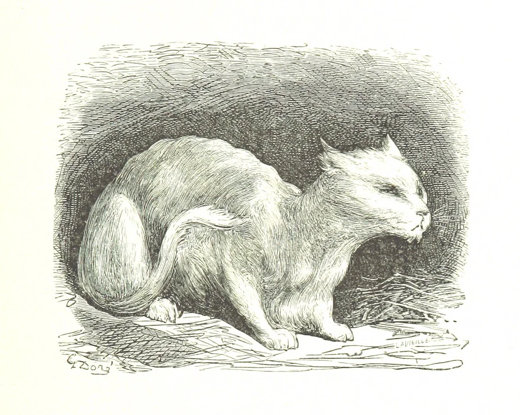 An illustration from Voyage aux Pyrénées ... Troisième édition illustrée par Gustave Doré, 1860, leaf 497