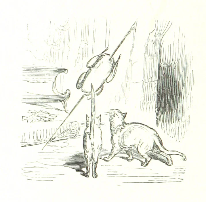 An illustration from Voyage aux Pyrénées ... Troisième édition illustrée par Gustave Doré, 1860, leaf 502