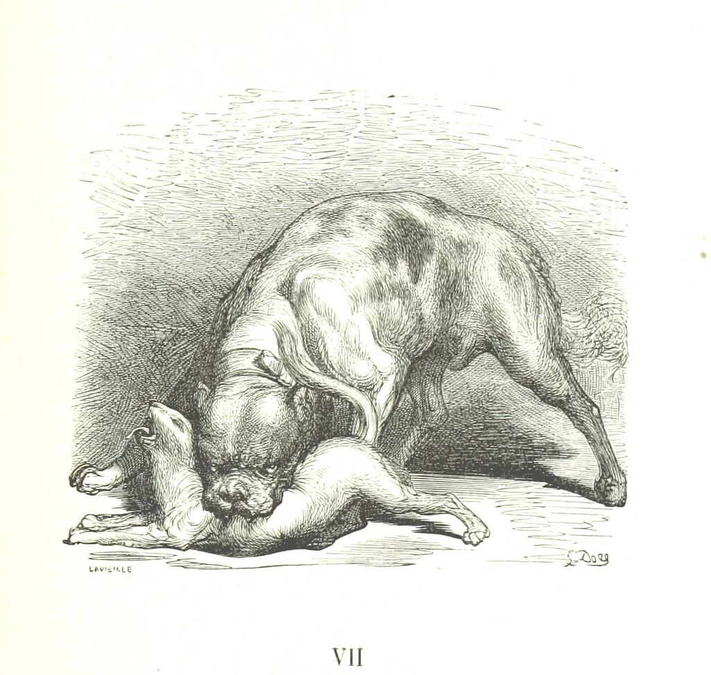 An illustration from Voyage aux Pyrénées ... Troisième édition illustrée par Gustave Doré, 1860, leaf 503