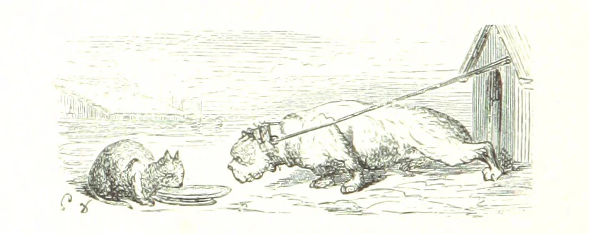 An illustration from Voyage aux Pyrénées ... Troisième édition illustrée par Gustave Doré, 1860, leaf 508