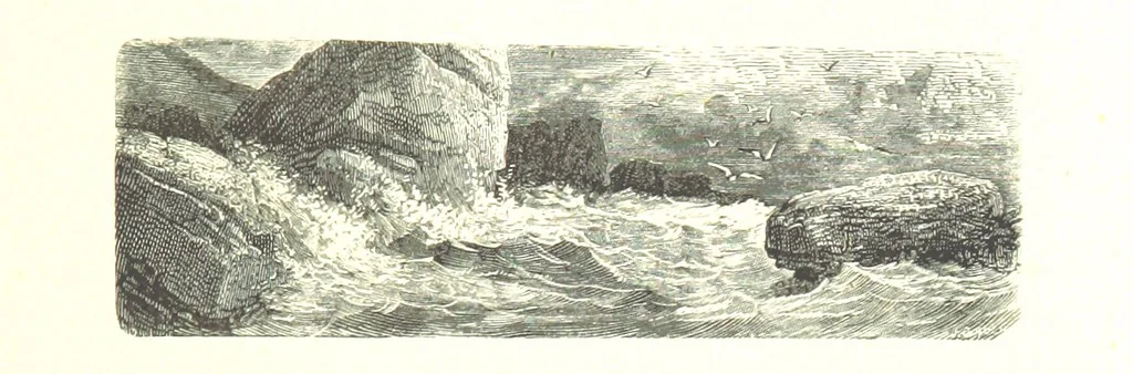 An illustration from Voyage aux Pyrénées ... Troisième édition illustrée par Gustave Doré, 1860, leaf 51