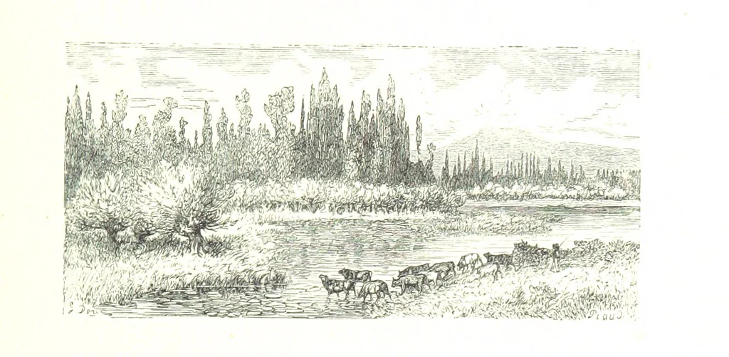 An illustration from Voyage aux Pyrénées ... Troisième édition illustrée par Gustave Doré, 1860, leaf 533