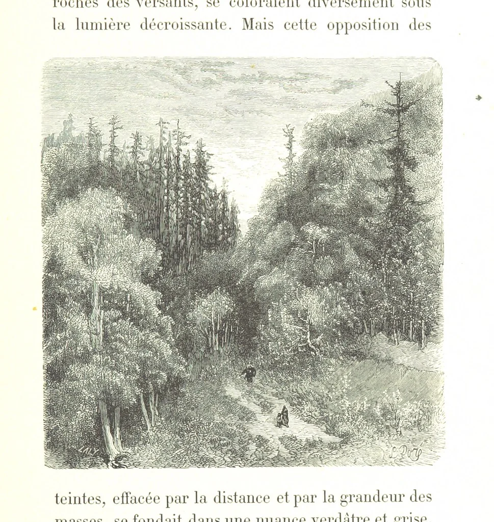An illustration from Voyage aux Pyrénées ... Troisième édition illustrée par Gustave Doré, 1860, leaf 537