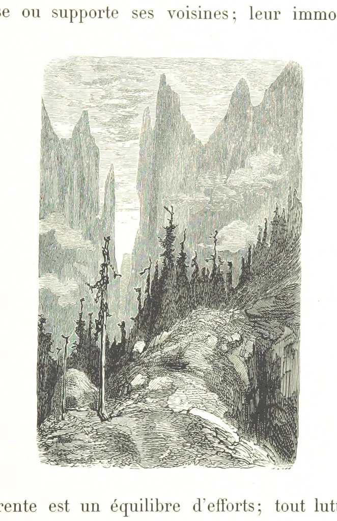 An illustration from Voyage aux Pyrénées ... Troisième édition illustrée par Gustave Doré, 1860, leaf 545