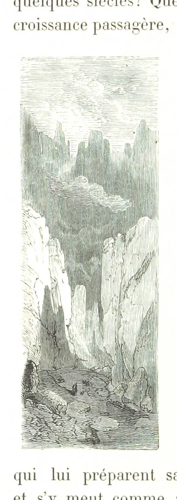 An illustration from Voyage aux Pyrénées ... Troisième édition illustrée par Gustave Doré, 1860, leaf 546