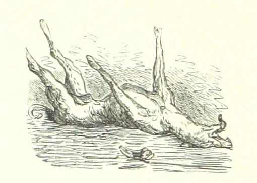 An illustration from Voyage aux Pyrénées ... Troisième édition illustrée par Gustave Doré, 1860, leaf 88
