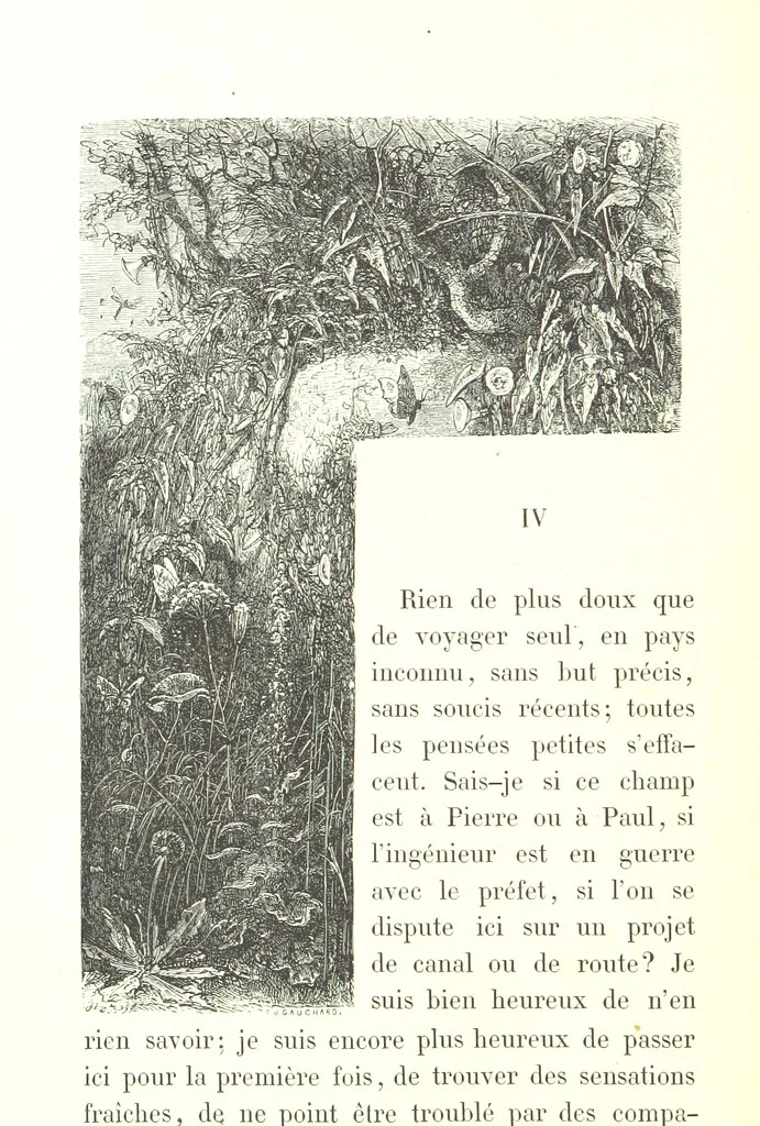 An illustration from Voyage aux Pyrénées ... Troisième édition illustrée par Gustave Doré, 1860, leaf 94