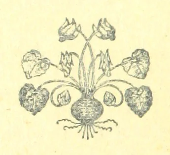 An illustration from Curiosità Veneziane, ovvero origini delle denominazioni stradali di Venezia ... Quarta edizione, 1897, leaf 412