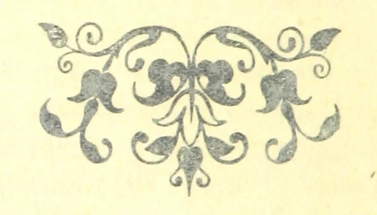 An illustration from Curiosità Veneziane, ovvero origini delle denominazioni stradali di Venezia ... Quarta edizione, 1897, leaf 520