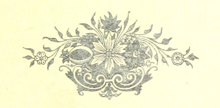 An illustration from Curiosità Veneziane, ovvero origini delle denominazioni stradali di Venezia ... Quarta edizione, 1897, leaf 813