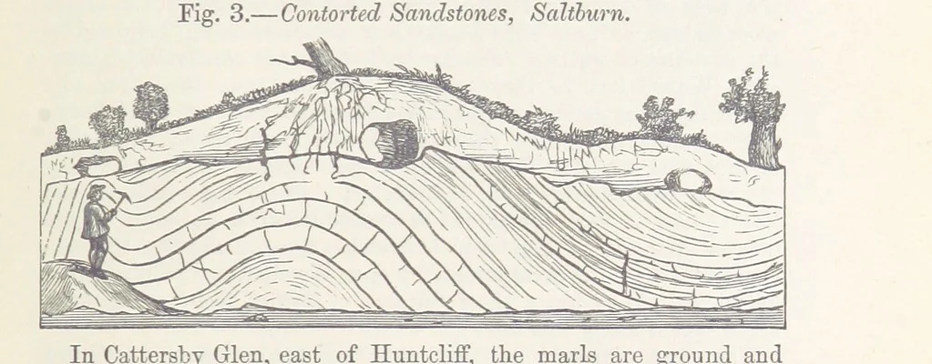 An illustration from The Yorkshire Lias. [With illustrations and a map, 1876, leaf 129