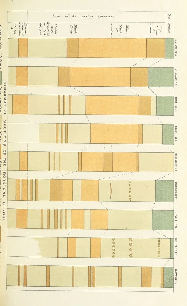 An illustration from The Yorkshire Lias. [With illustrations and a map, 1876, leaf 143