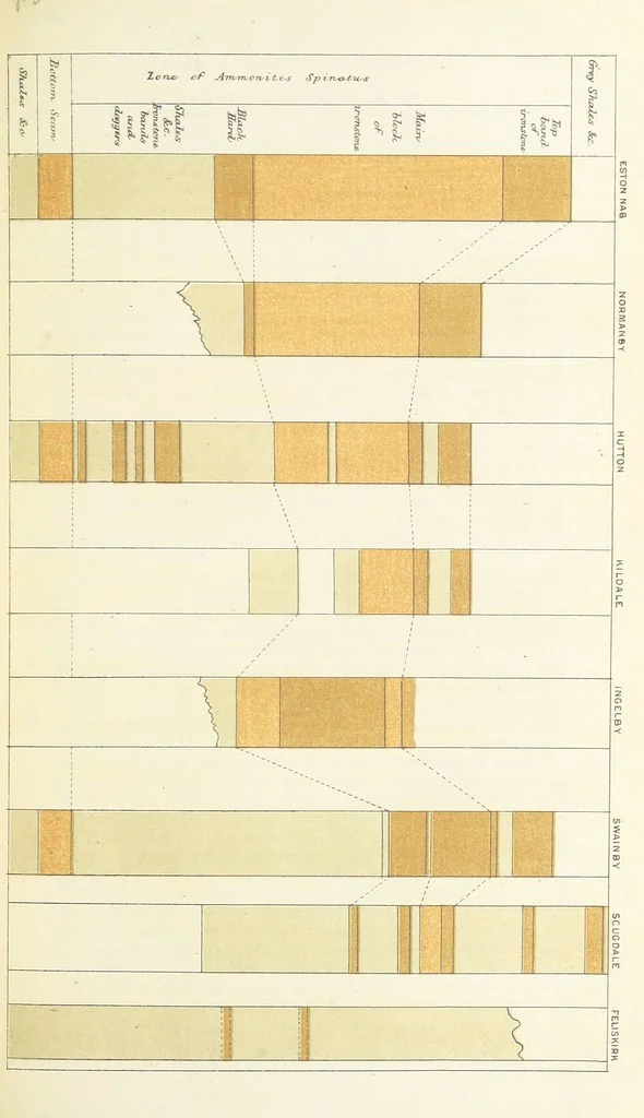 An illustration from The Yorkshire Lias. [With illustrations and a map, 1876, leaf 145