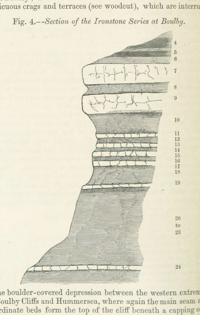 An illustration from The Yorkshire Lias. [With illustrations and a map, 1876, leaf 154