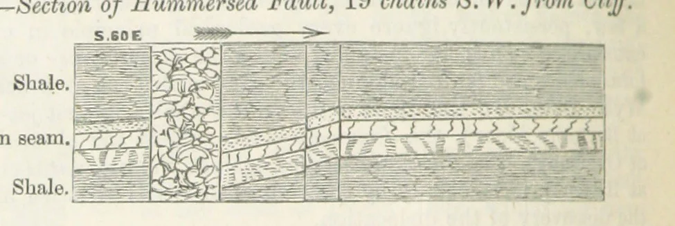 An illustration from The Yorkshire Lias. [With illustrations and a map, 1876, leaf 222
