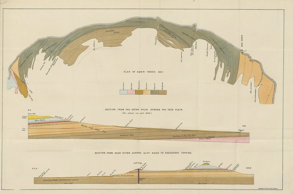 An illustration from The Yorkshire Lias. [With illustrations and a map, 1876, leaf 263