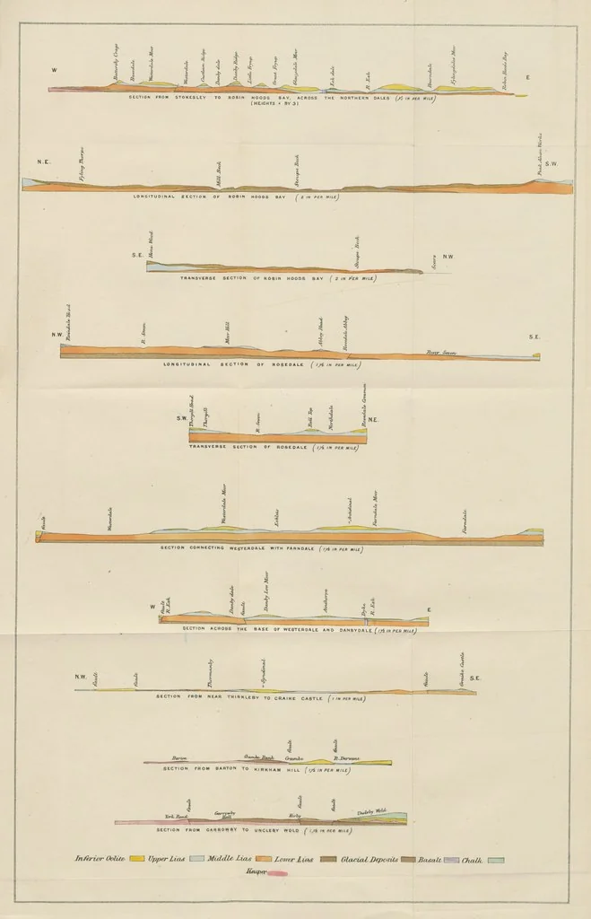 An illustration from The Yorkshire Lias. [With illustrations and a map, 1876, leaf 265