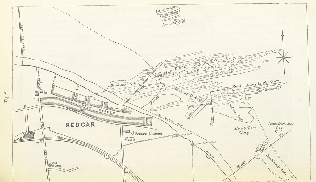 An illustration from The Yorkshire Lias. [With illustrations and a map, 1876, leaf 75