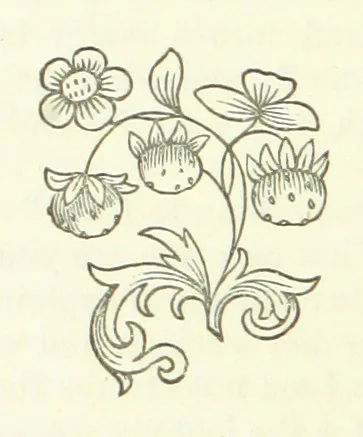 An illustration from Cyrilla, a tale, 1872, leaf 100
