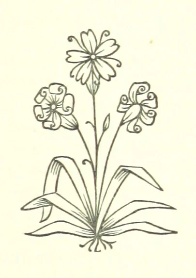 An illustration from Cyrilla, a tale, 1872, leaf 169