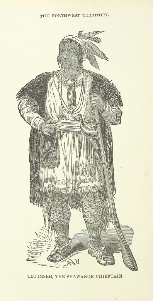 An illustration from History of Taylor County, Iowa ... Illustrated, 1881, leaf 72