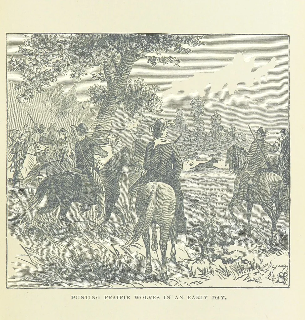 An illustration from History of Taylor County, Iowa ... Illustrated, 1881, leaf 89