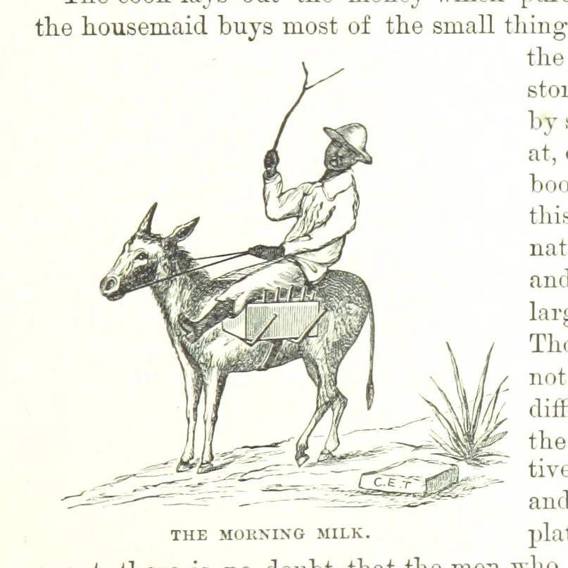 An illustration from Leaflets from the Danish West Indies: descriptive of the social, political and commercial condition of these Islands ... With a portrait of the author and a biographical sketch, ... by P. Linet, 1888, leaf 101