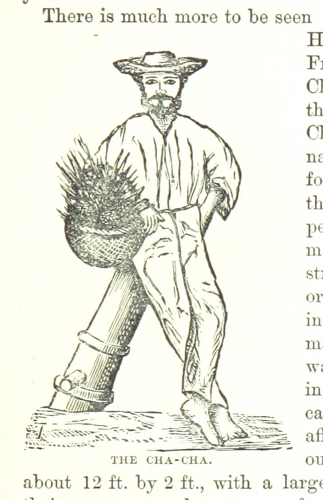 An illustration from Leaflets from the Danish West Indies: descriptive of the social, political and commercial condition of these Islands ... With a portrait of the author and a biographical sketch, ... by P. Linet, 1888, leaf 119