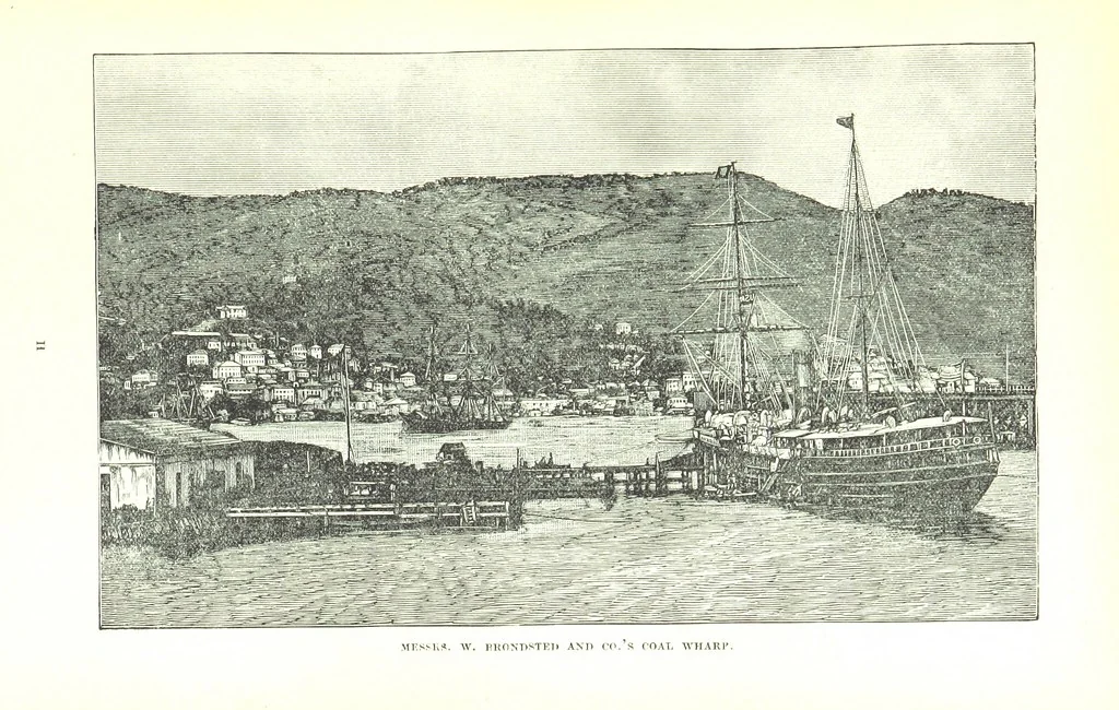 An illustration from Leaflets from the Danish West Indies: descriptive of the social, political and commercial condition of these Islands ... With a portrait of the author and a biographical sketch, ... by P. Linet, 1888, leaf 121
