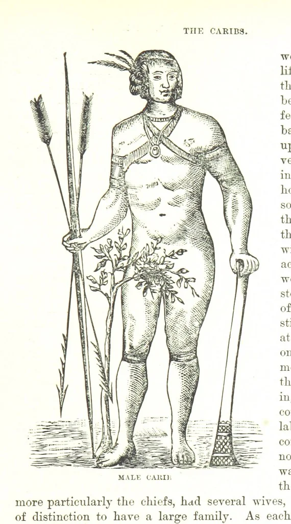 An illustration from Leaflets from the Danish West Indies: descriptive of the social, political and commercial condition of these Islands ... With a portrait of the author and a biographical sketch, ... by P. Linet, 1888, leaf 133